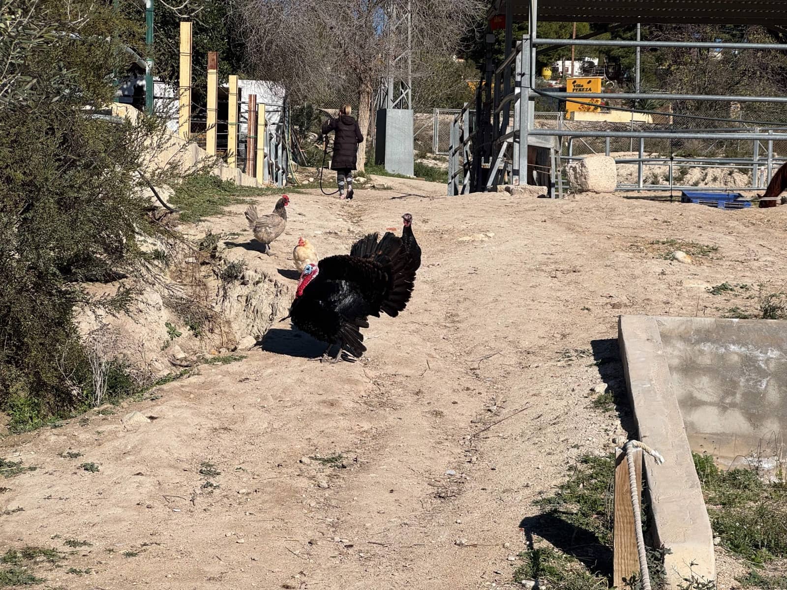 2 Zimmer Finca/Landgut zu verkaufen in Finestrat mit Garage - 1.700.000 € (Ref: 9548414)