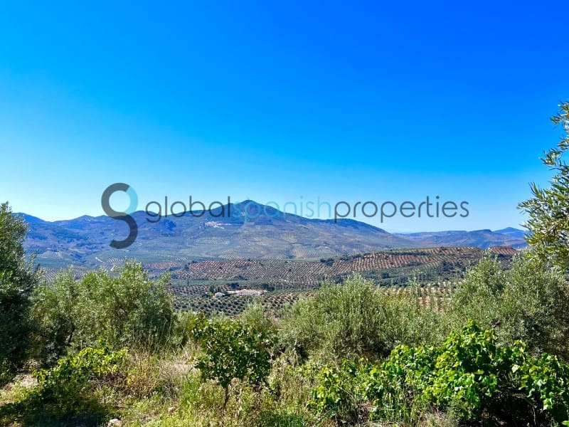 4 soveværelse Finca/Landehus til salg i Belmez de la Moraleda med swimmingpool garage - € 634.900 (Ref: 7901325)