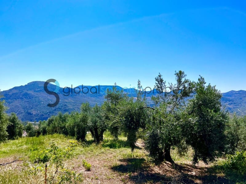 4 soveværelse Finca/Landehus til salg i Belmez de la Moraleda med swimmingpool garage - € 634.900 (Ref: 7901325)