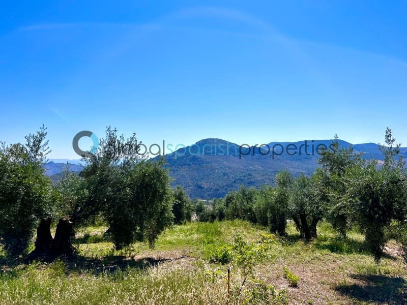 4 soveværelse Finca/Landehus til salg i Belmez de la Moraleda med swimmingpool garage - € 634.900 (Ref: 7901325)