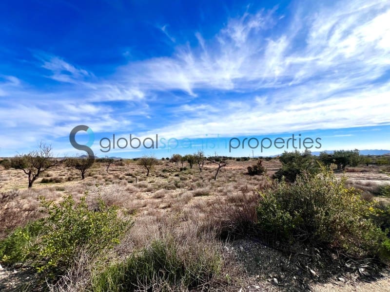 5 camera da letto Finca/Casa di Campagna in vendita in Taberno - 212.000 € (Rif: 8676049)