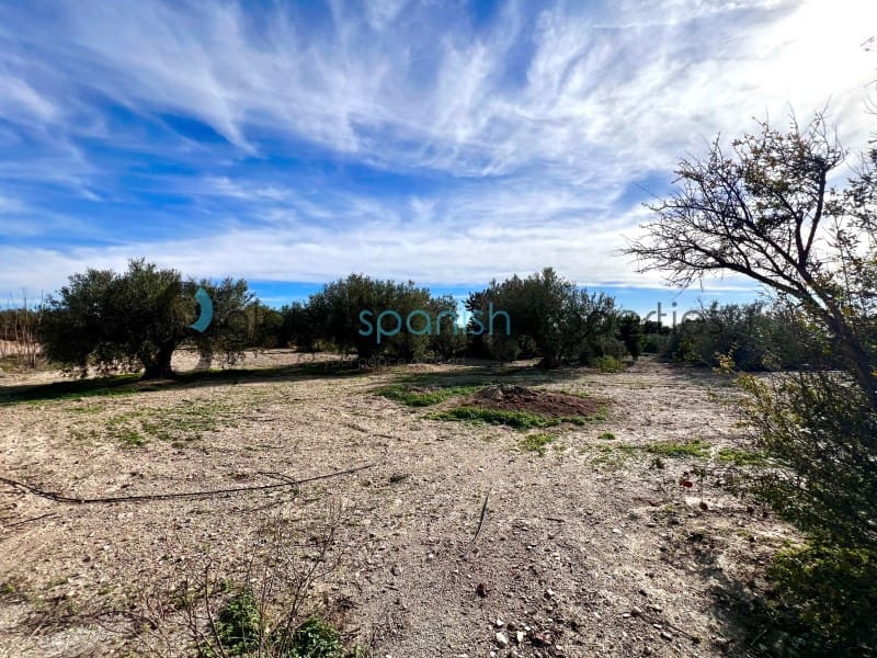 5 camera da letto Finca/Casa di Campagna in vendita in Taberno - 212.000 € (Rif: 8676049)