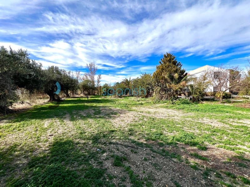 5 camera da letto Finca/Casa di Campagna in vendita in Taberno - 212.000 € (Rif: 8676049)