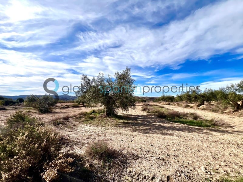 5 camera da letto Finca/Casa di Campagna in vendita in Taberno - 212.000 € (Rif: 8676049)