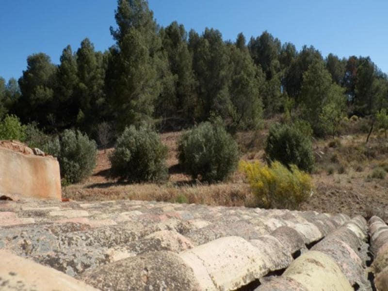 Finca/Country House for sale in Velez-Rubio with garage - € 175,000 (Ref: 4913722)