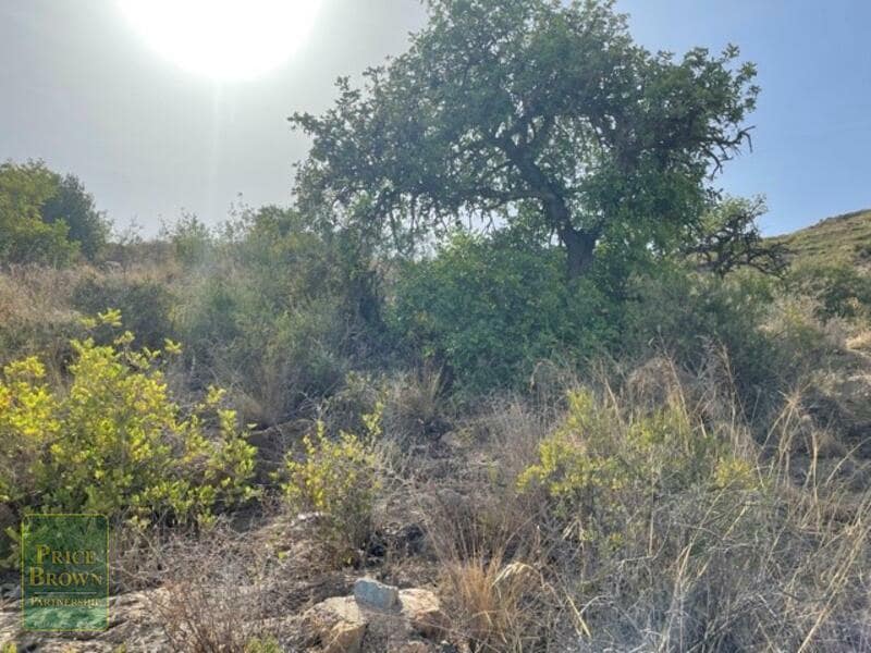 Byggegrund til salg i Mojacar - € 65.000 (Ref: 6336309)