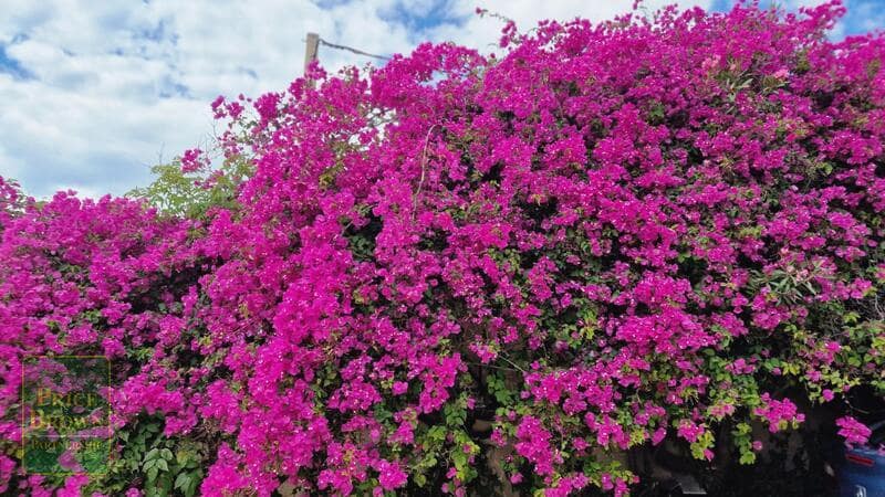 3 soverom Villa til salgs i Mojacar med svømmebasseng - € 695 000 (Ref: 9030651)