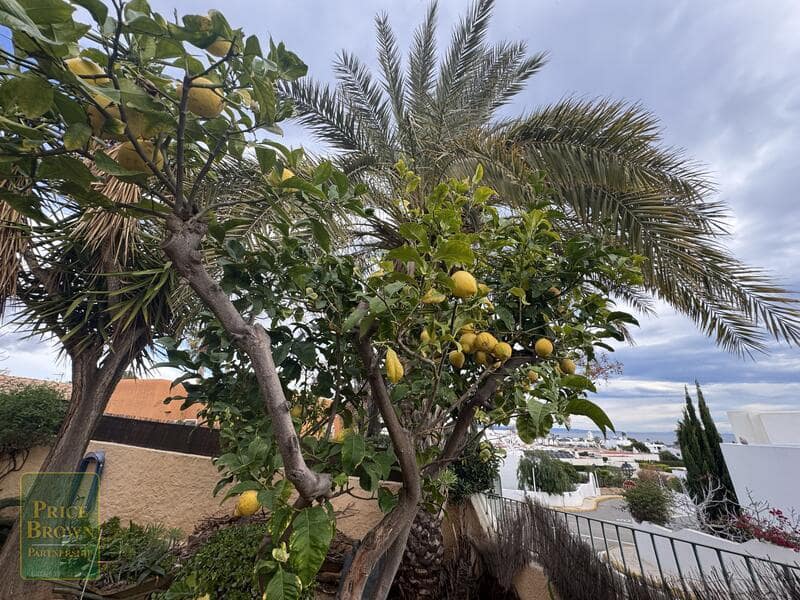 3 chambre Villa/Maison à vendre à Mojacar - 350 000 € (Ref: 9598082)