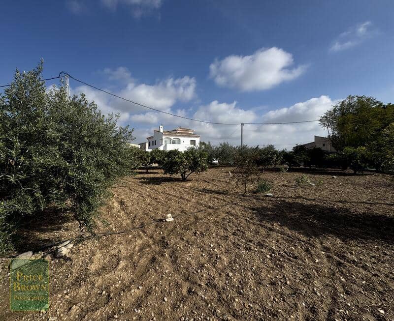 4 chambre Finca/Maison de Campagne à vendre à Aljariz avec piscine - 485 000 € (Ref: 9685554)