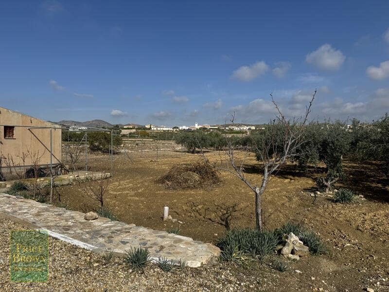 4 chambre Finca/Maison de Campagne à vendre à Aljariz avec piscine - 485 000 € (Ref: 9685554)