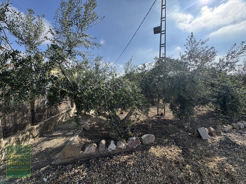 4 chambre Finca/Maison de Campagne à vendre à Aljariz avec piscine - 485 000 € (Ref: 9685554)