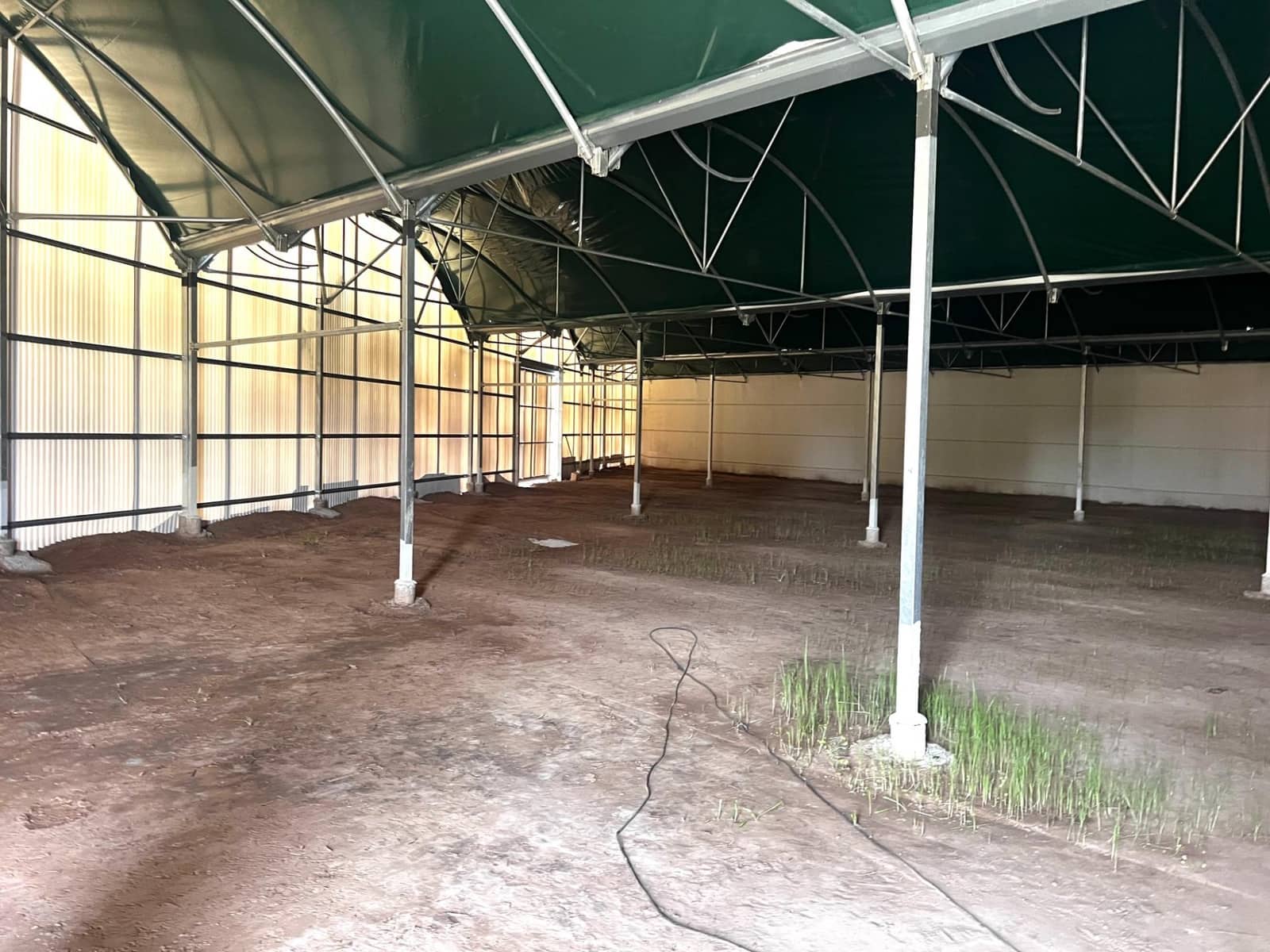 Azienda da affittare in Torrellano - 4.000 € (Rif: 8252115)