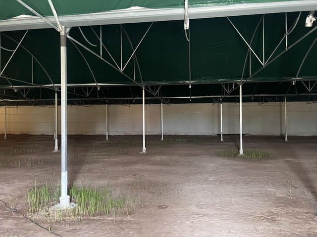 Virksomhed til leje i Torrellano, Elche / Elx - € 4.000 (Ref: 8252115)