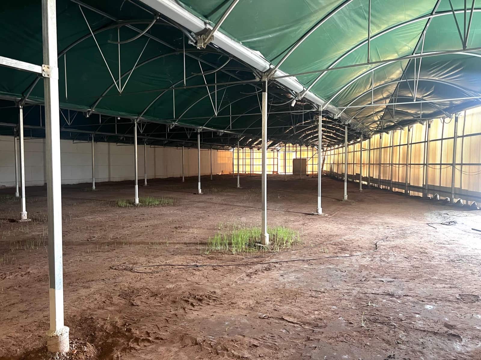 Azienda da affittare in Torrellano - 4.000 € (Rif: 8252115)