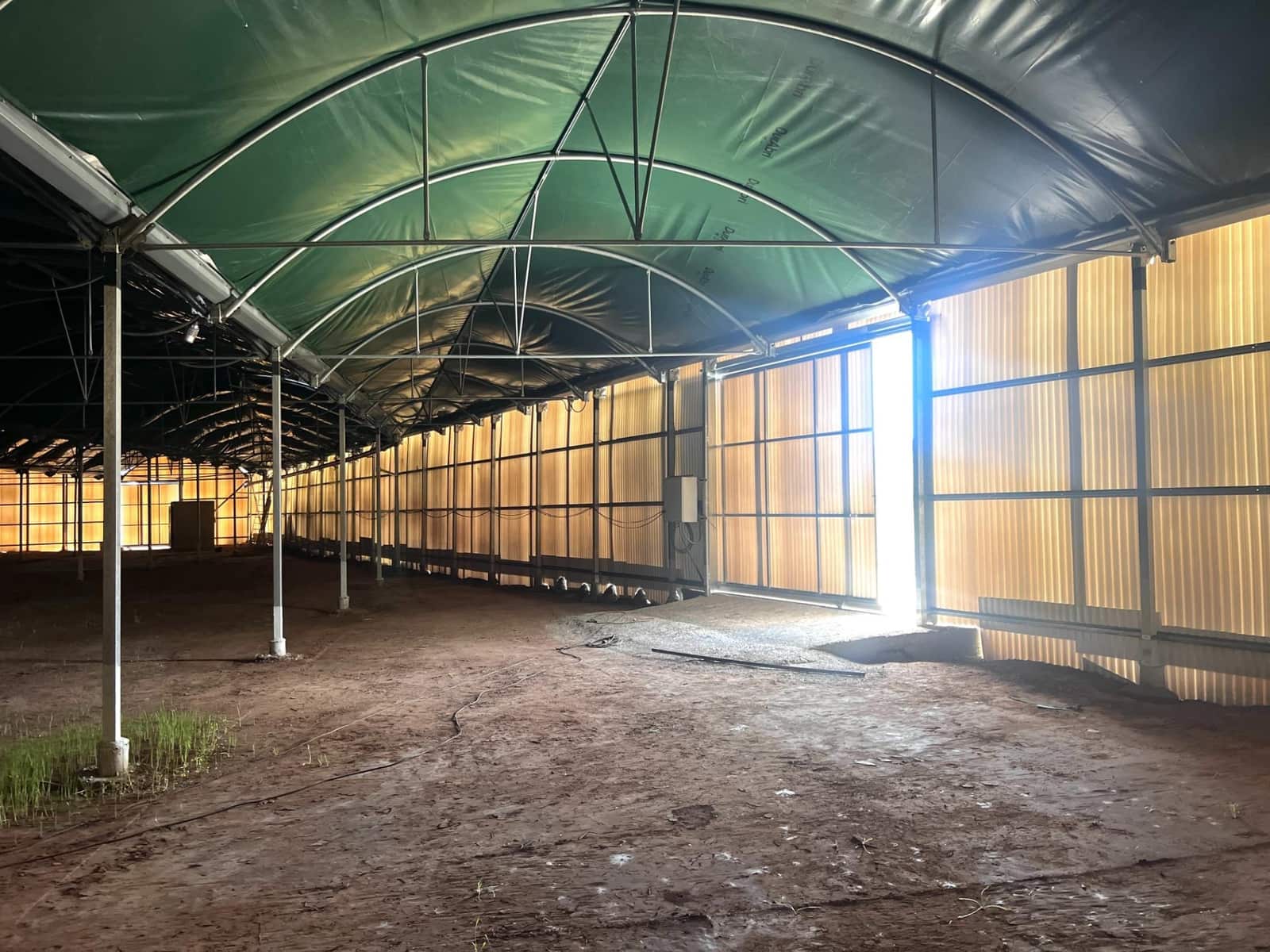 Azienda da affittare in Torrellano - 4.000 € (Rif: 8252115)