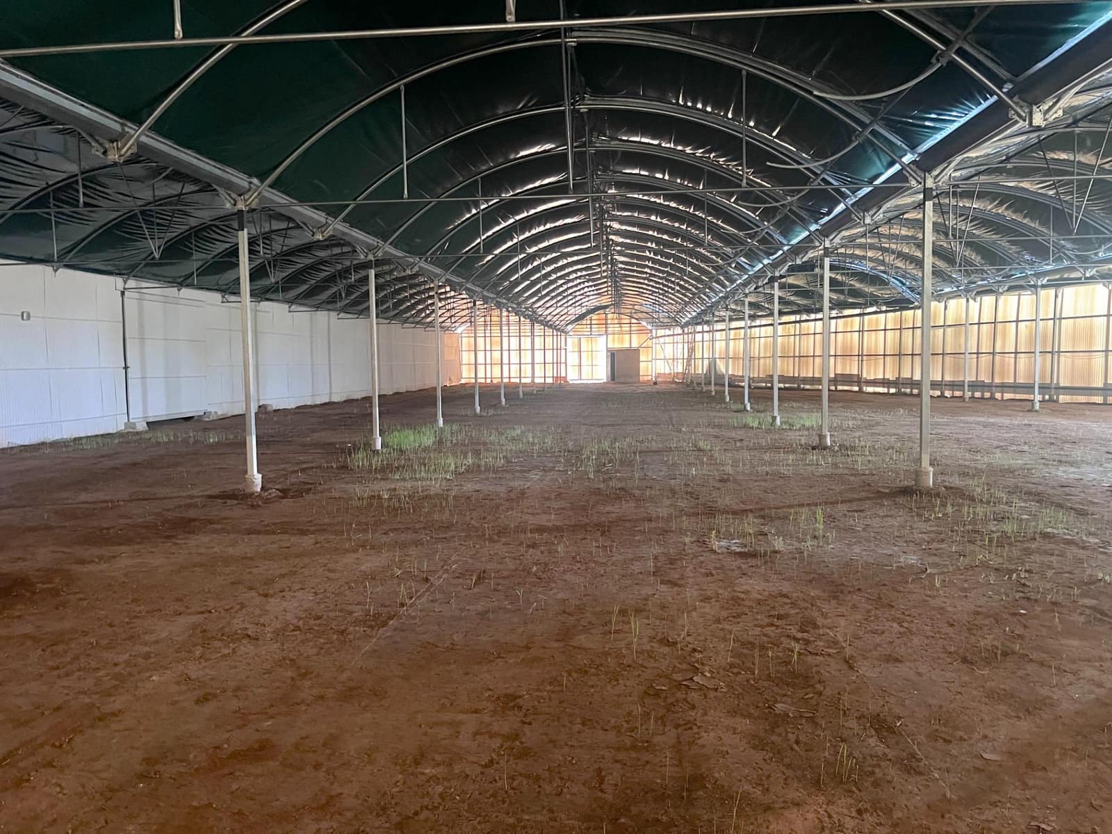 Azienda da affittare in Torrellano - 4.000 € (Rif: 8252115)