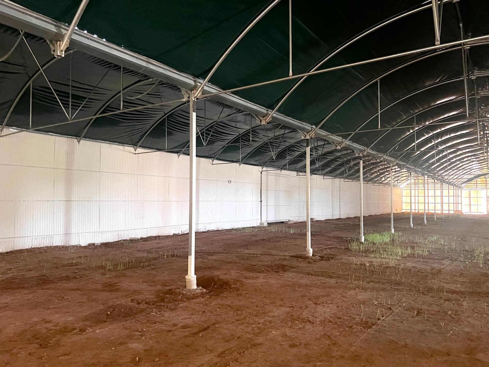 Azienda da affittare in Torrellano - 4.000 € (Rif: 8252115)