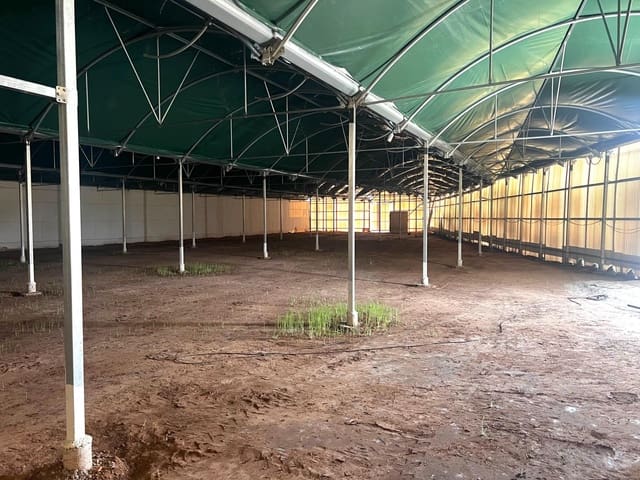 Virksomhed til leje i Torrellano, Elche / Elx - € 4.000 (Ref: 8252115)