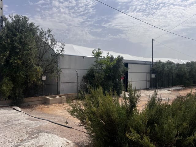 Virksomhed til leje i Torrellano, Elche / Elx - € 4.000 (Ref: 8252115)