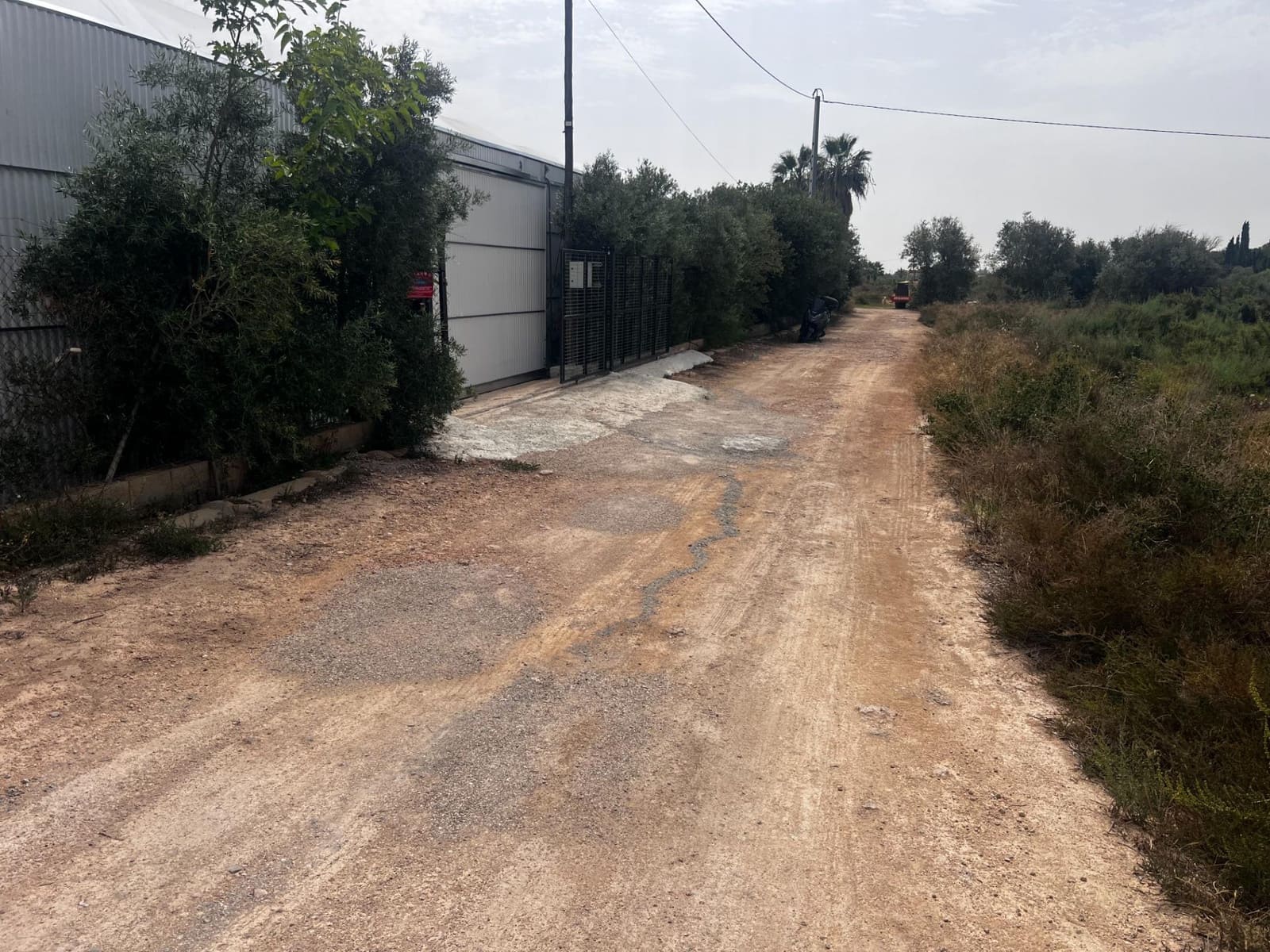 Azienda da affittare in Torrellano - 4.000 € (Rif: 8252115)