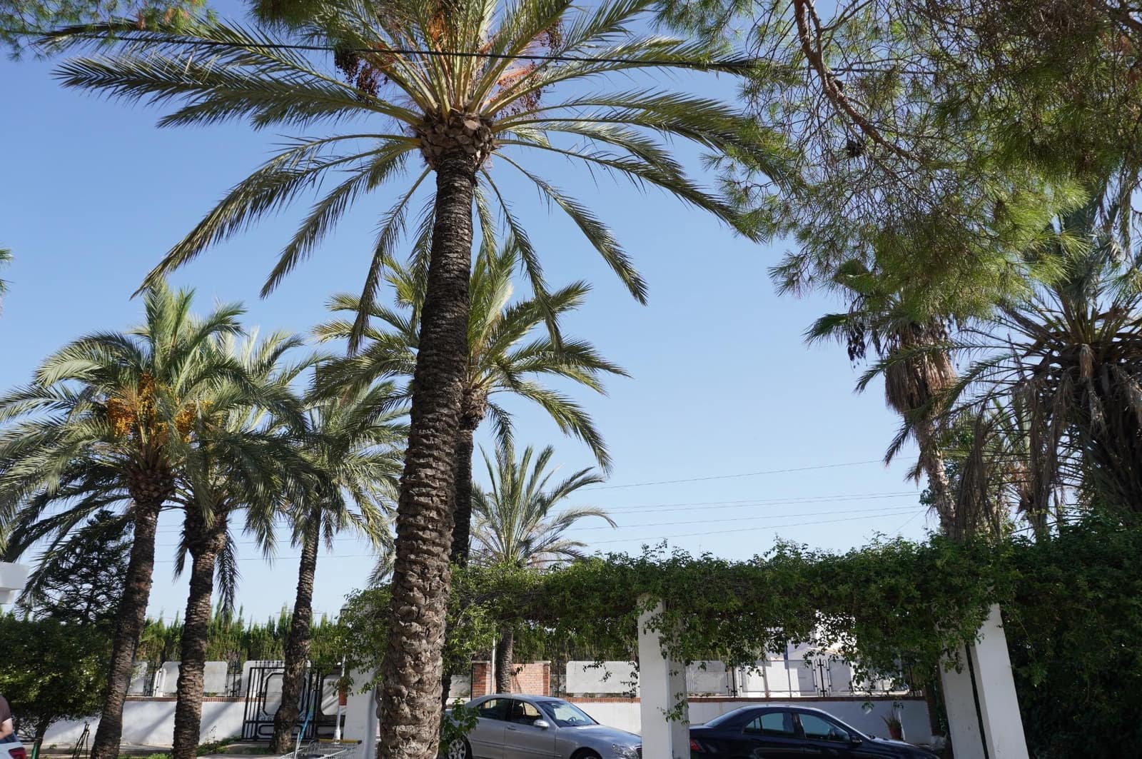 5 slaapkamer Villa te koop in Elche / Elx - € 399.900 (Ref: 9310908)