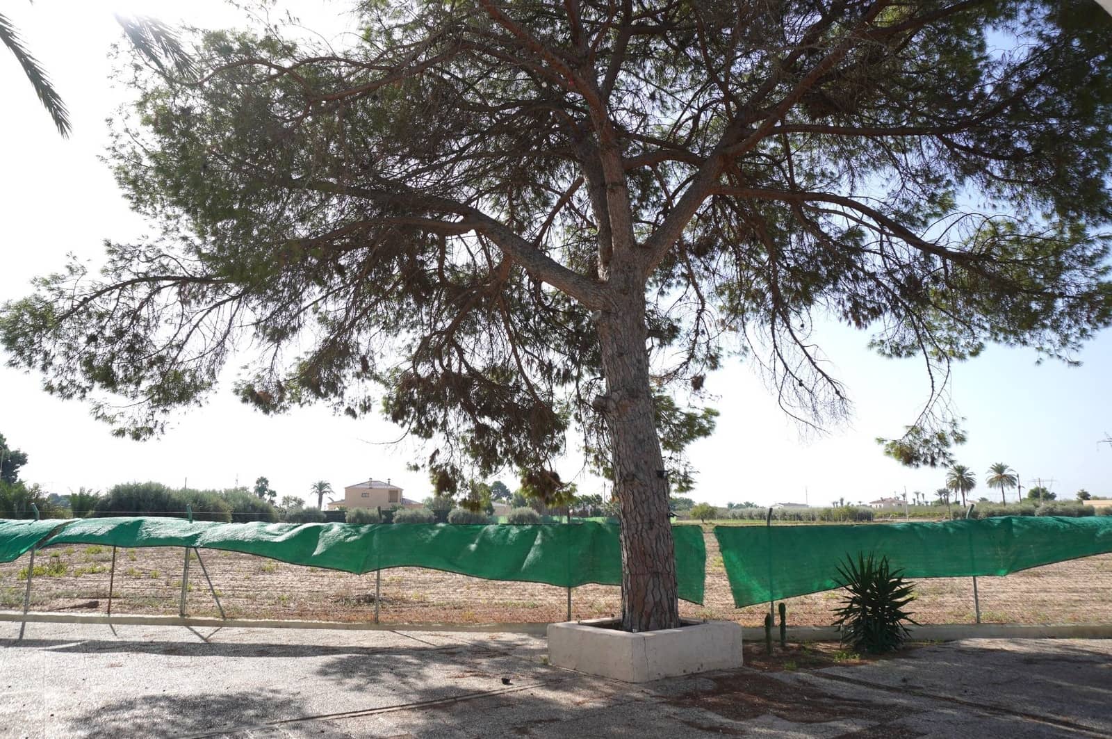 5 slaapkamer Villa te koop in Elche / Elx - € 399.900 (Ref: 9310908)