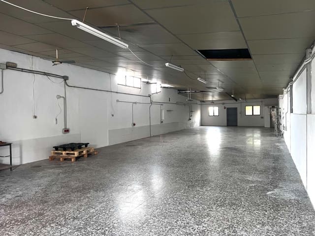 Business for rent in La Hoya, Elche / Elx - € 600 (Ref: 9387935)