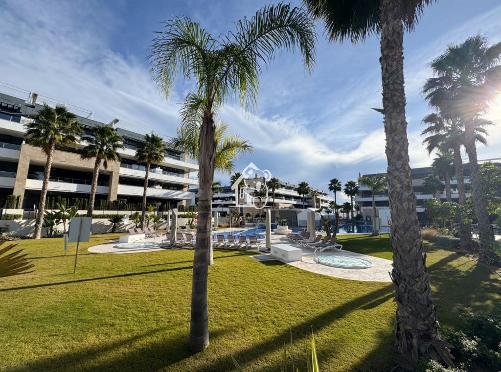 2 sovrum Takvåning att hyra i Playa Flamenca med pool garage - 1 700 € (Ref: 10157074)