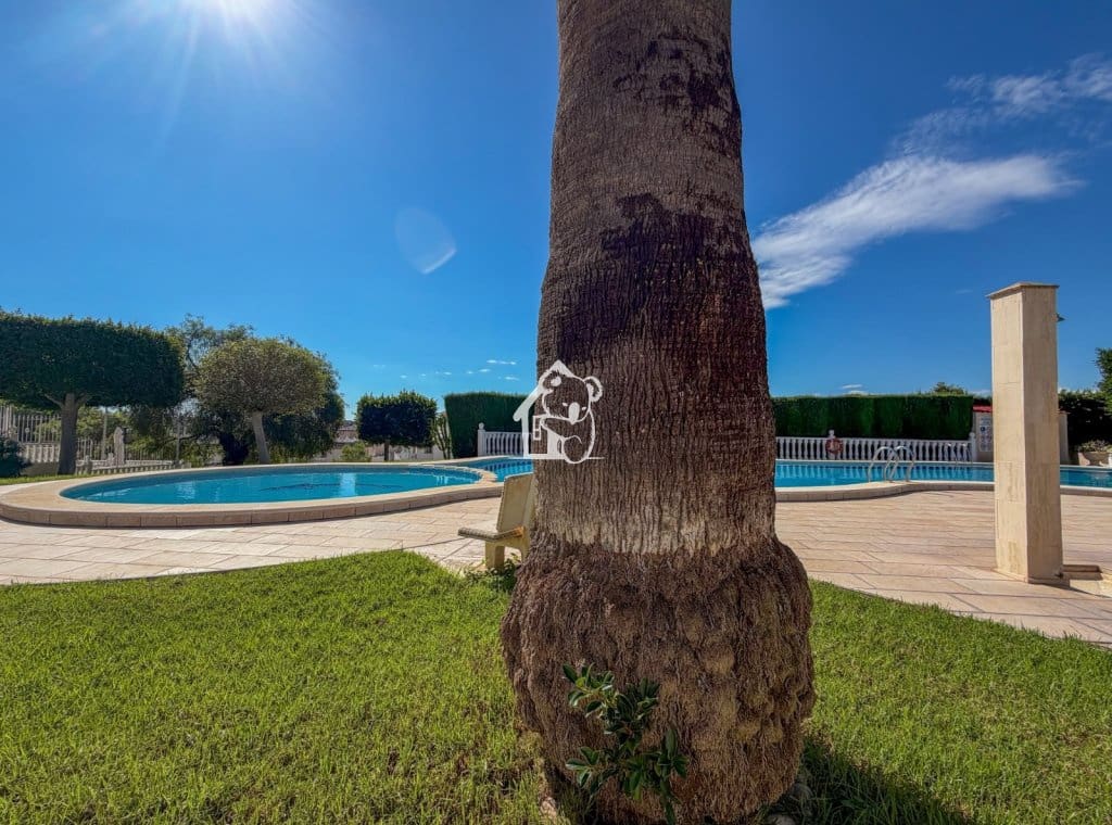 2 Zimmer Haus zu vermieten in Orihuela Costa mit Pool - 1.100 € (Ref: 10165920)
