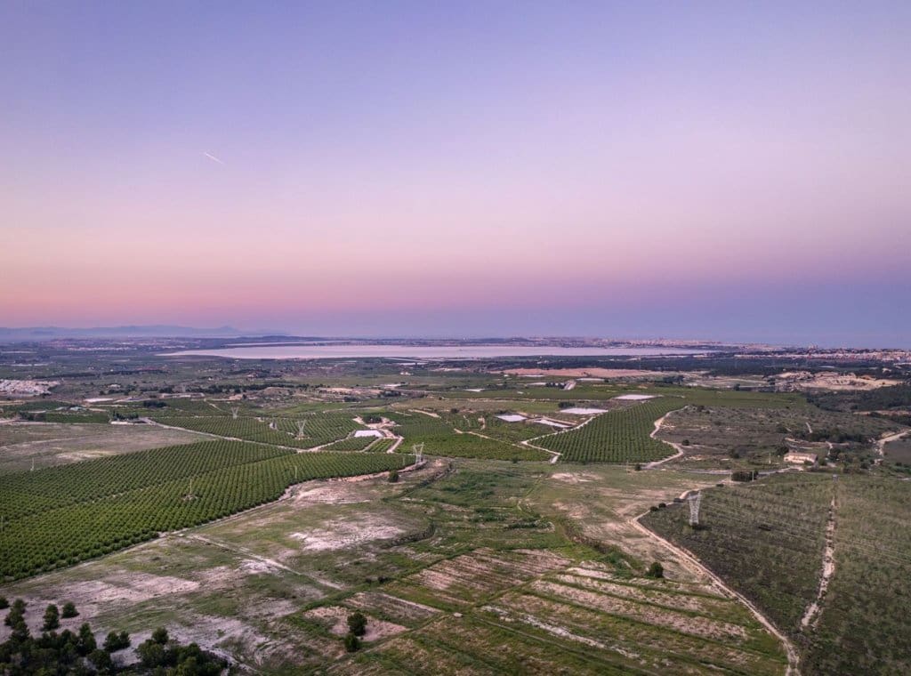 2 chambre Bungalow à vendre à San Miguel de Salinas - 375 000 € (Ref: 8394632)