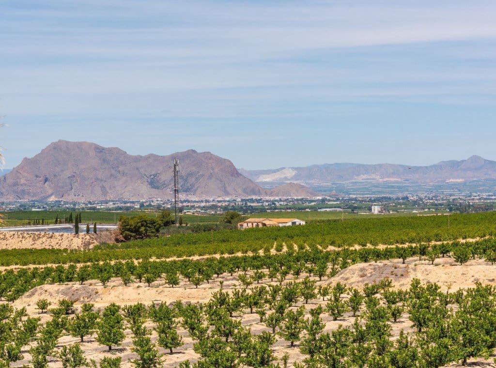 3 Zimmer Villa zu verkaufen in Algorfa mit Pool - 375.000 € (Ref: 8415048)