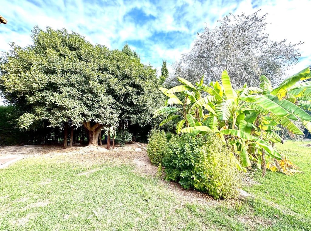 4 chambre Villa/Maison à vendre à Daya Nueva - 320 000 € (Ref: 8670058)