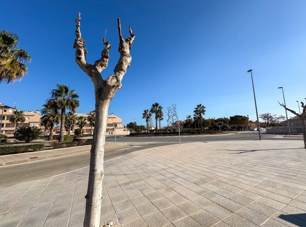 3 bedroom Apartment for sale in Torre de la Horadada with pool - € 430,000 (Ref: 8800668)