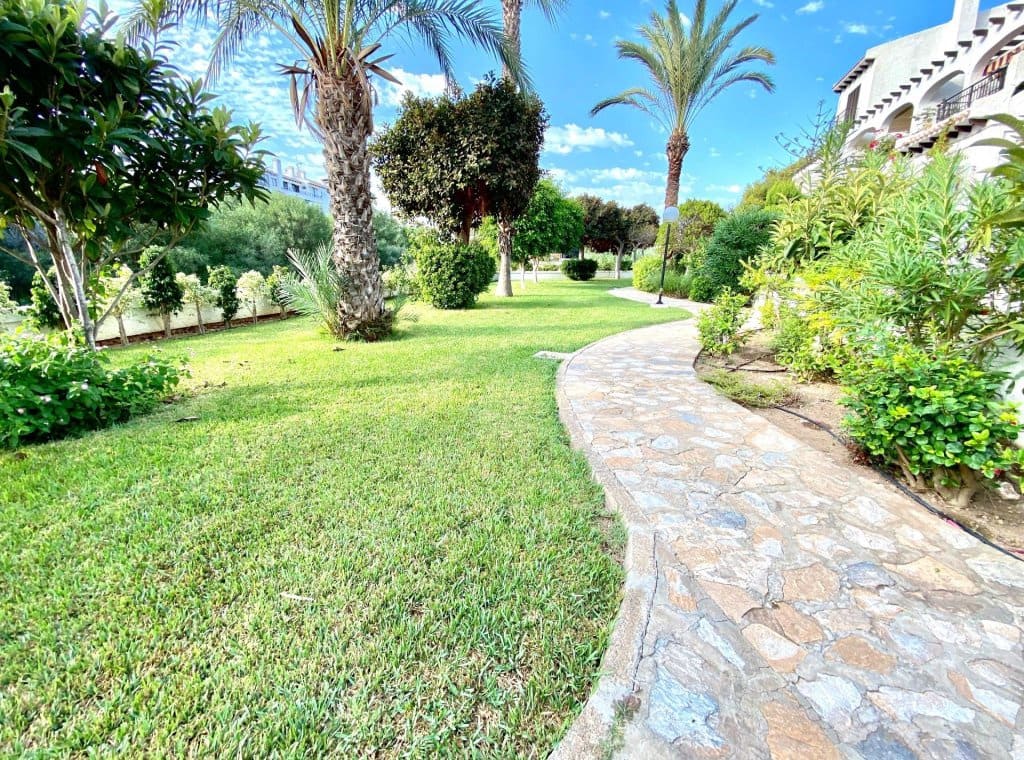 1 bedroom Flat for rent in Cabo Roig with pool garage - € 675 (Ref: 8967778)