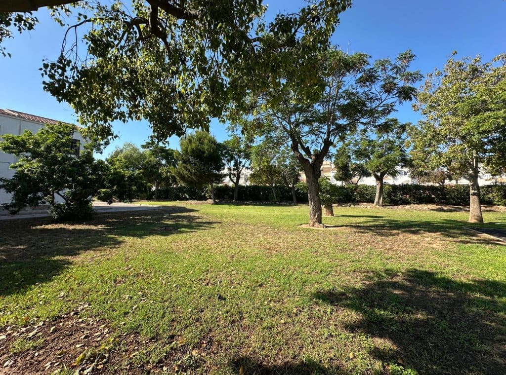 3 slaapkamer Huis te huur in Pilar de la Horadada - € 1.000 (Ref: 9026229)