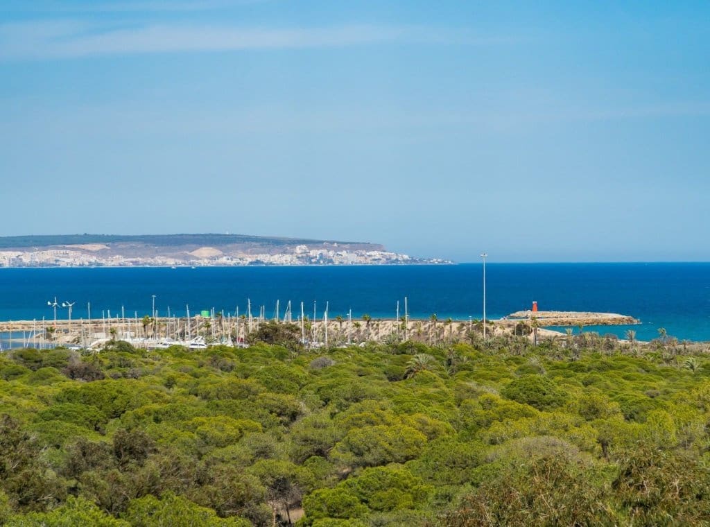 2 Zimmer Apartment zu vermieten in Guardamar del Segura mit Pool - 800 € (Ref: 9026231)