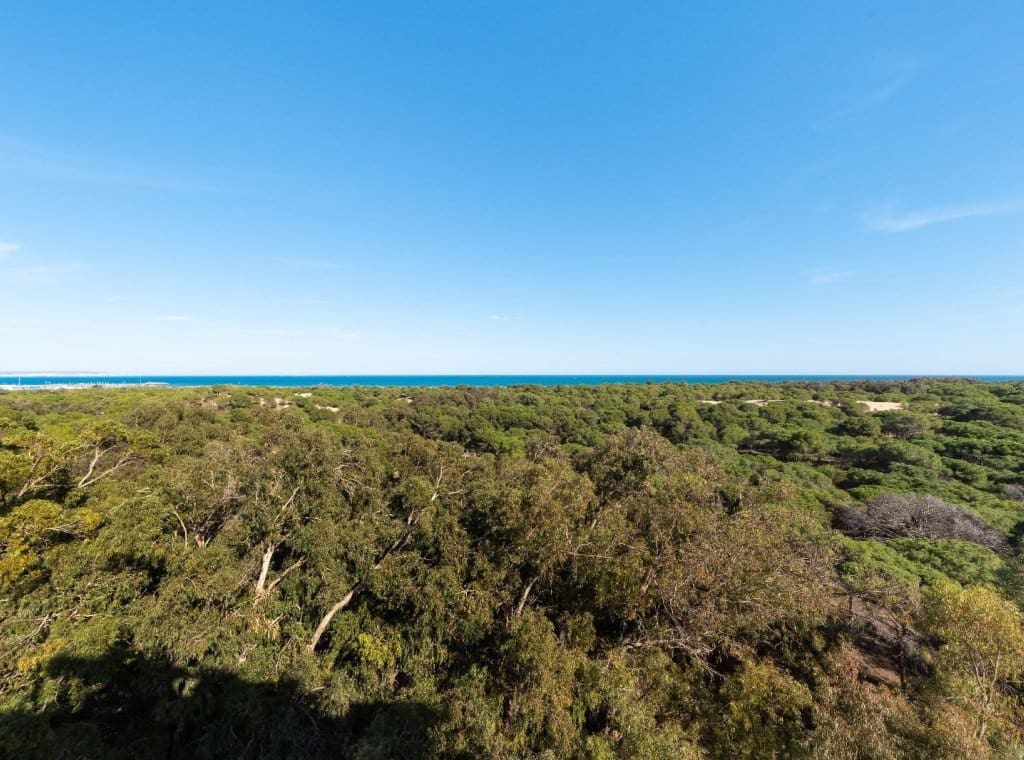 2 Zimmer Apartment zu vermieten in Guardamar del Segura mit Pool - 800 € (Ref: 9026231)