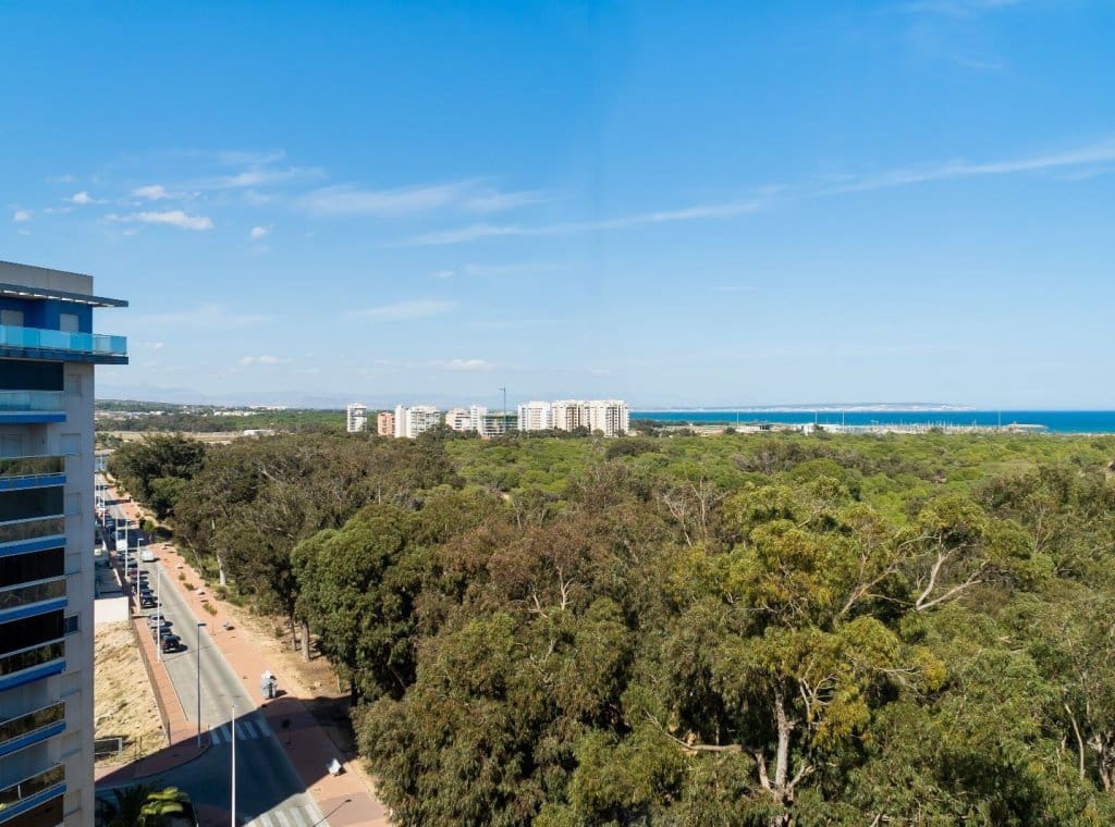 2 Zimmer Apartment zu vermieten in Guardamar del Segura mit Pool - 800 € (Ref: 9026231)