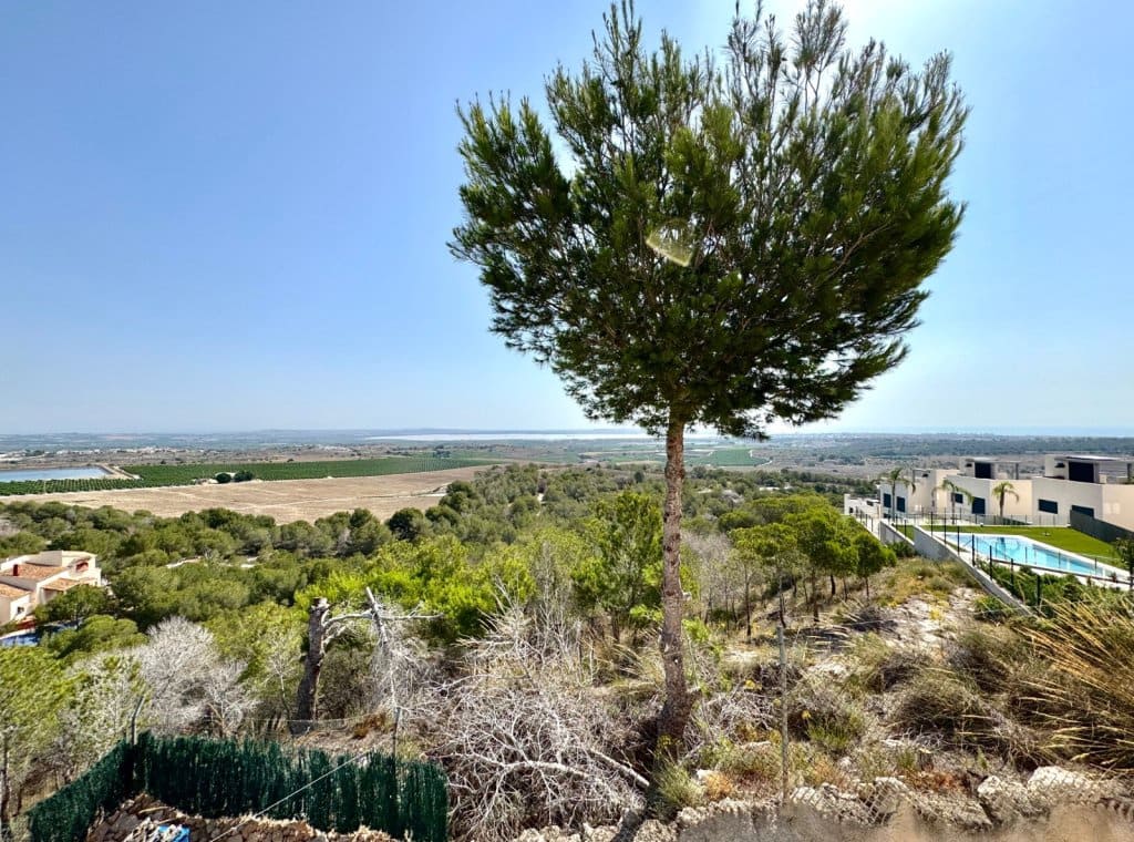 1 Zimmer Apartment zu vermieten in San Miguel de Salinas - 750 € (Ref: 9074668)