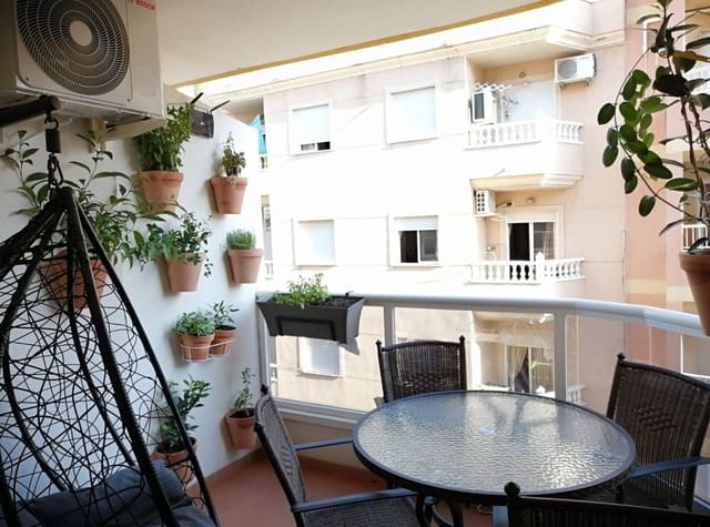 2 soveværelse Lejlighed til leje i Avenida Habaneras - Curva de Palangre, Torrevieja - € 975 (Ref: 9196325)