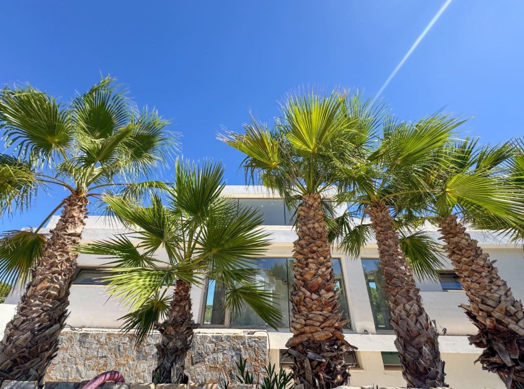 5 camera da letto Villa da affittare in Dehesa de Campoamor con piscina - 10.000 € (Rif: 9226233)