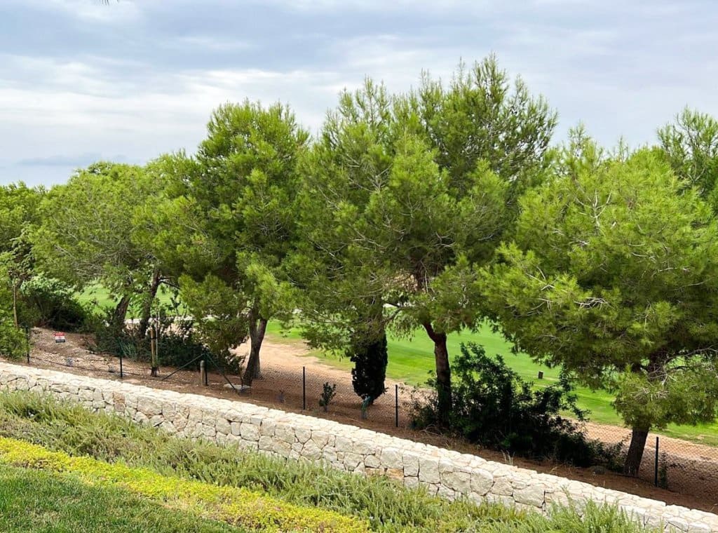 2 soveværelse Bungalow til leje i Pilar de la Horadada med swimmingpool - € 1.500 (Ref: 9254500)