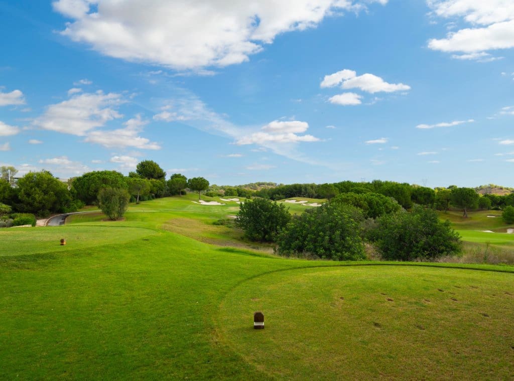 6 bedroom Villa for sale in Dehesa de Campoamor with pool garage - € 5,500,000 (Ref: 9262118)