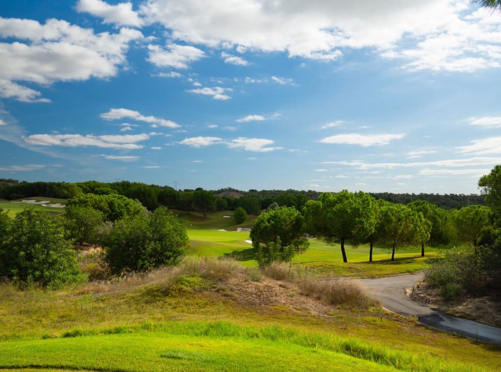 6 bedroom Villa for sale in Dehesa de Campoamor with pool garage - € 5,500,000 (Ref: 9262118)