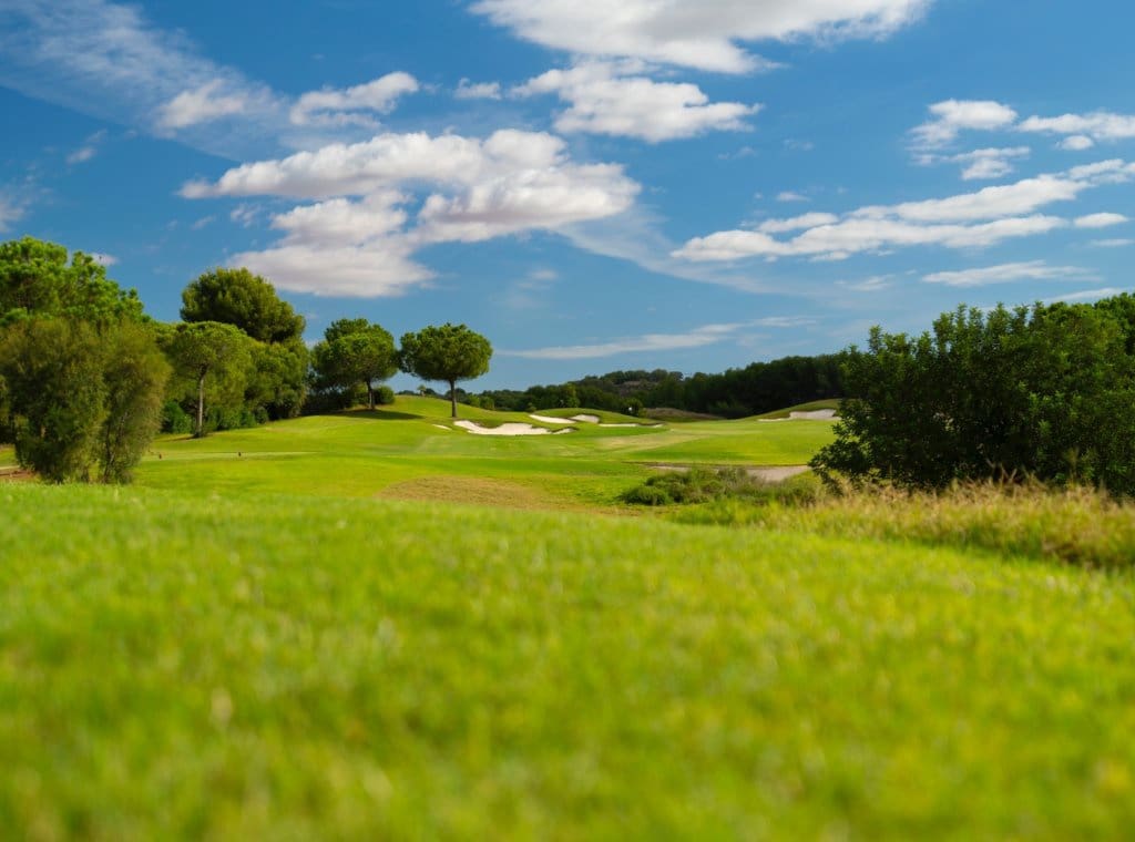 6 bedroom Villa for sale in Dehesa de Campoamor with pool garage - € 5,500,000 (Ref: 9262118)