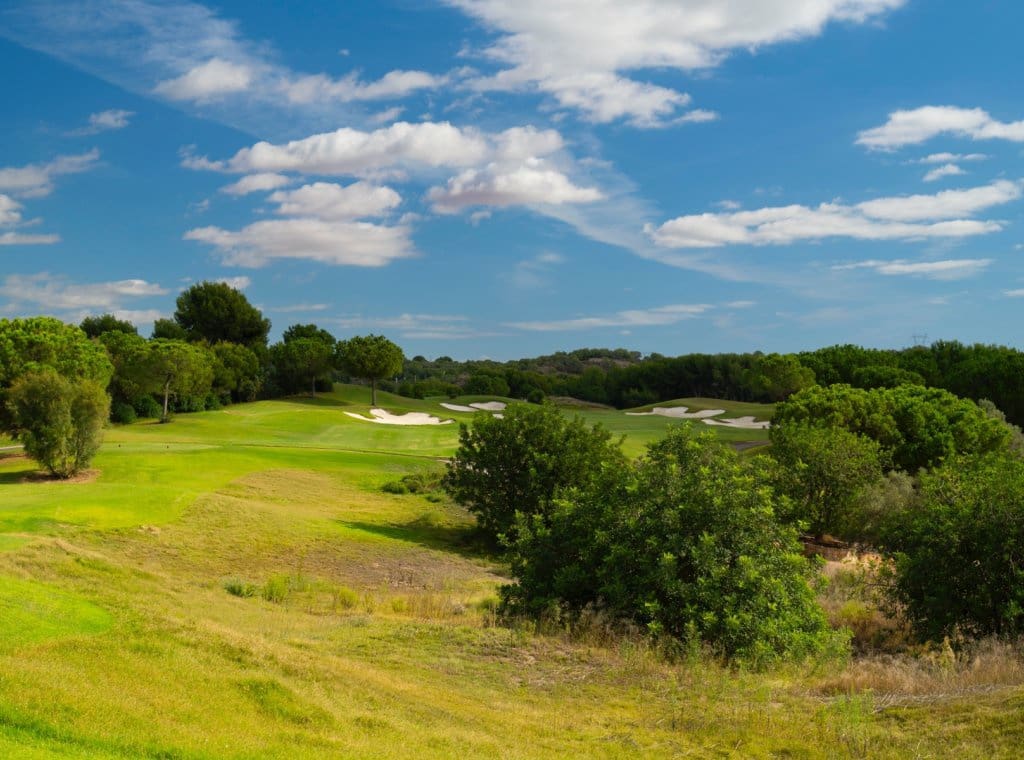 6 bedroom Villa for sale in Dehesa de Campoamor with pool garage - € 5,500,000 (Ref: 9262118)