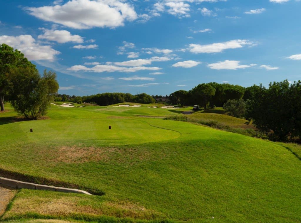 6 bedroom Villa for sale in Dehesa de Campoamor with pool garage - € 5,500,000 (Ref: 9262118)