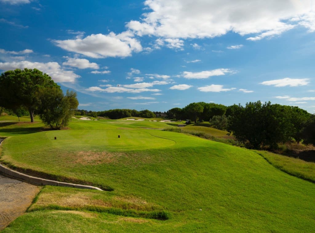 6 bedroom Villa for sale in Dehesa de Campoamor with pool garage - € 5,500,000 (Ref: 9262118)