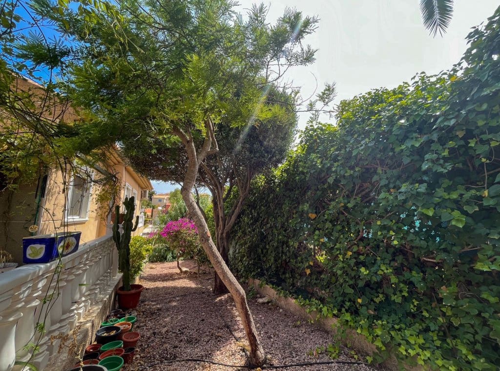 3 slaapkamer Villa te koop in Torrevieja met zwembad garage - € 365.000 (Ref: 9317019)