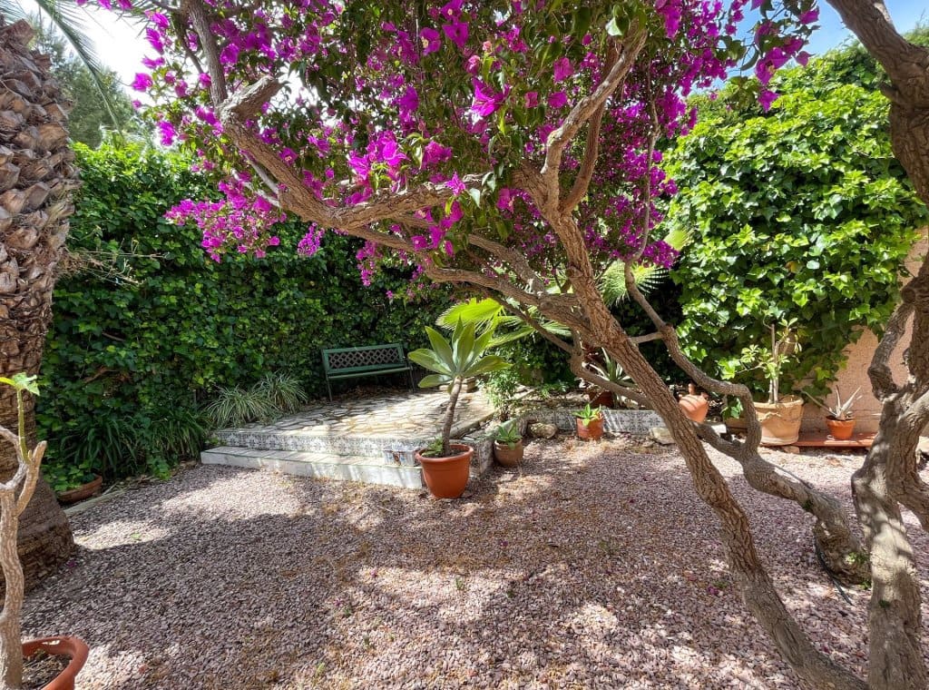 3 slaapkamer Villa te koop in Torrevieja met zwembad garage - € 365.000 (Ref: 9317019)